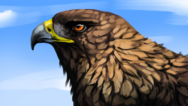 Обои картинки фото рисованное, животные,  птицы,  орлы, взгляд, клювь, орел