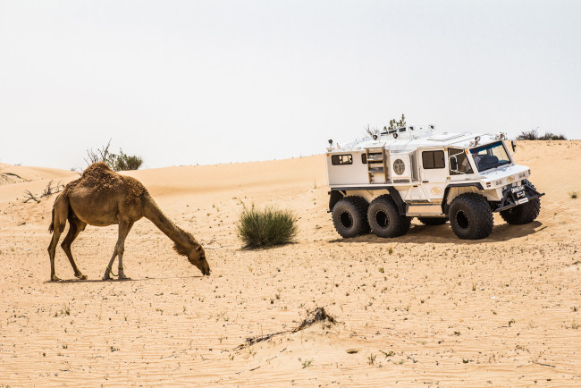 Обои картинки фото автомобили, -unsort, petrovich