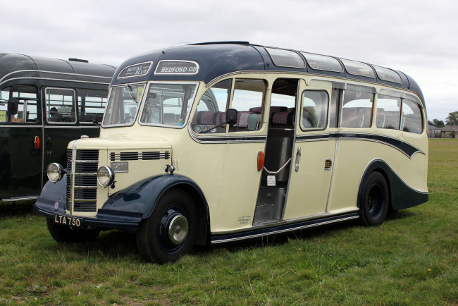 Обои картинки фото автомобили, автобусы, пассажирский, транспорт