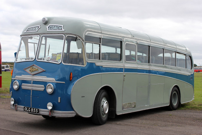 Обои картинки фото автомобили, автобусы, пассажирский, транспорт