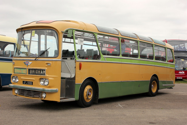 Обои картинки фото автомобили, автобусы, пассажирский, транспорт