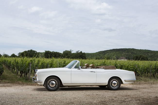 Обои картинки фото автомобили, rolls-royce, convertible, corniche, ward, park, mulliner