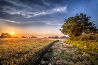 Картинка природа восходы закаты рассвет