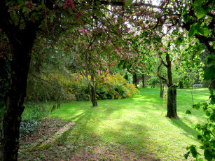 Картинка словения цветы цветущие+деревья+ +кустарники трава деревья