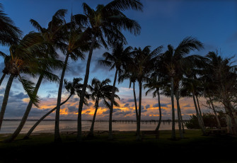 Картинка природа тропики курорт