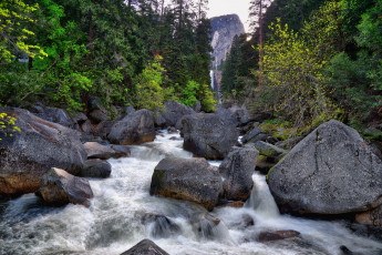 Картинка природа реки озера лес река