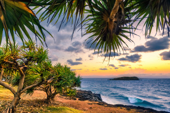 Картинка природа тропики курорт