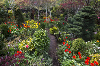 Картинка англия природа парк цветы деревья мостик