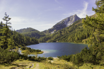 Картинка природа реки озера лес река