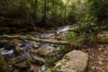 Картинка природа реки озера лес река