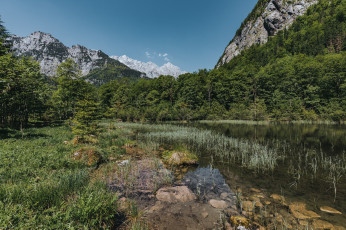 Картинка природа реки озера река лес