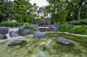 Картинка природа реки озера река лес