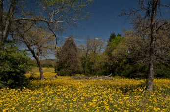 Картинка природа пейзажи простор