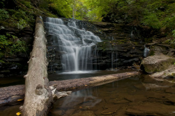 Картинка природа водопады водопад река лес