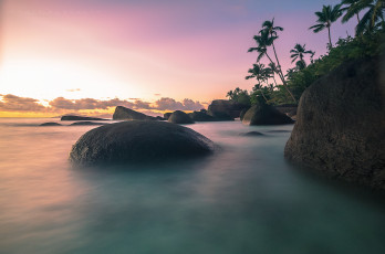 Картинка природа тропики курорт