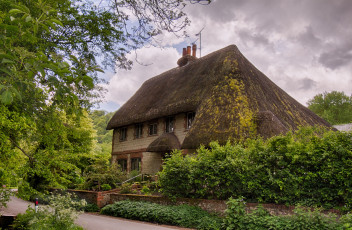 Картинка города -+здания +дома цветы облака стена деревья