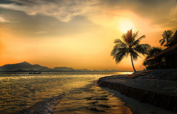 Картинка природа тропики курорт