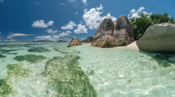 Картинка природа тропики курорт