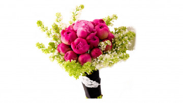 Картинка цветы букеты +композиции белый фон