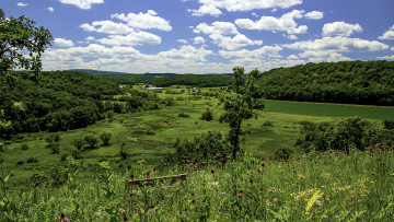 Картинка природа пейзажи простор