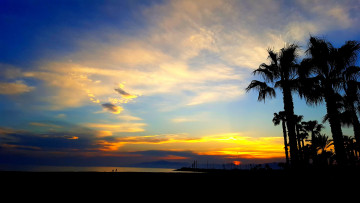 Картинка природа тропики курорт