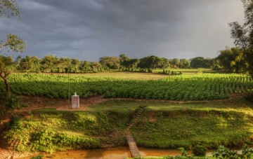 Картинка куба природа пейзажи мост деревья трава водоем