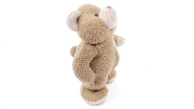 Обои картинки фото разное, игрушки, медведь, мишка, белый, фон