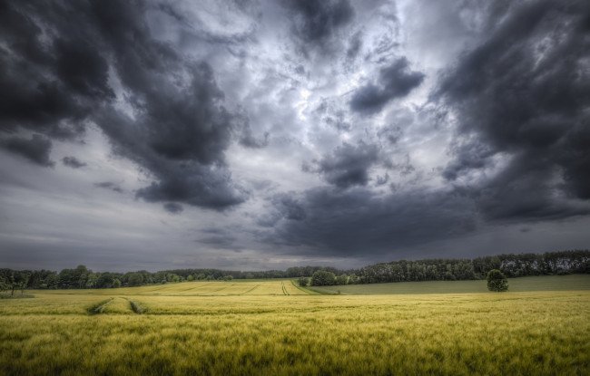 Обои картинки фото природа, поля, облака, поле
