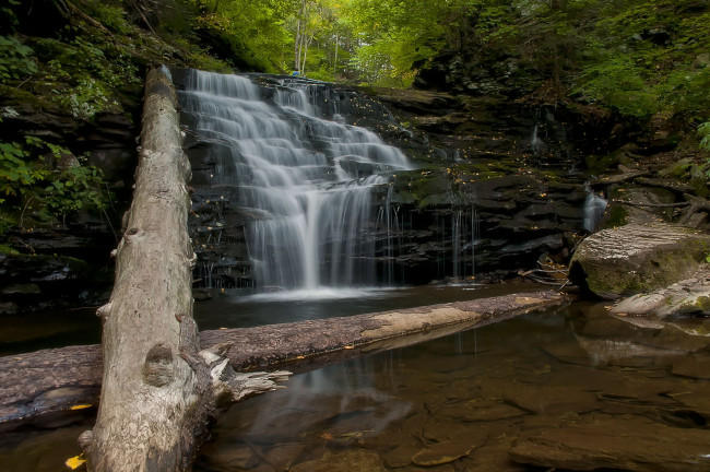 Обои картинки фото природа, водопады, водопад, река, лес