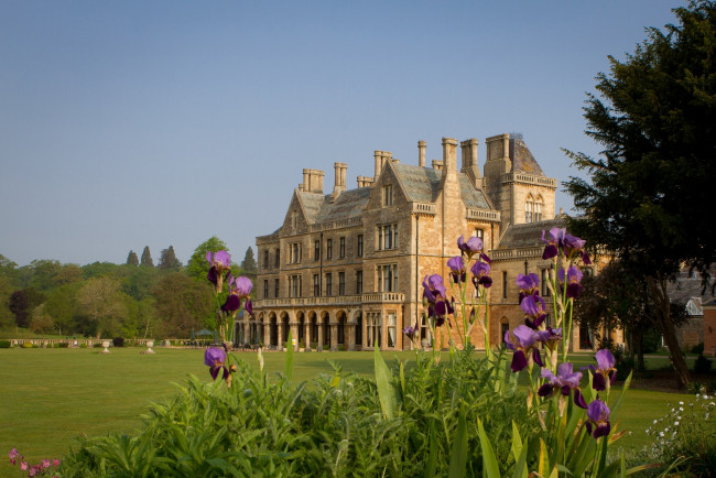 Обои картинки фото города, - дворцы,  замки,  крепости, трава, ирис, деревья