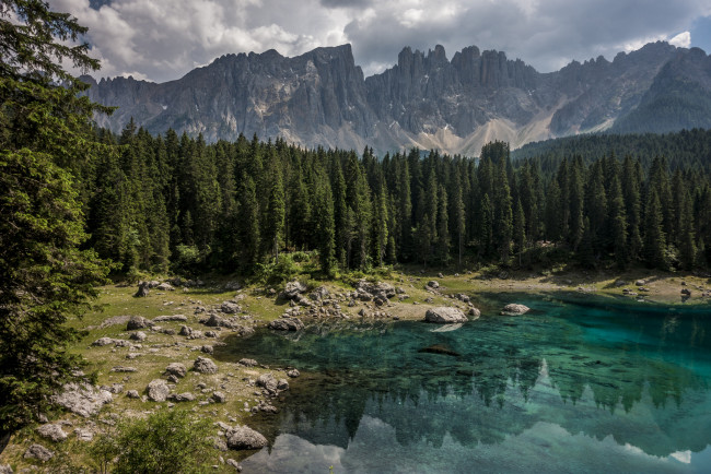 Обои картинки фото природа, реки, озера, река, лес