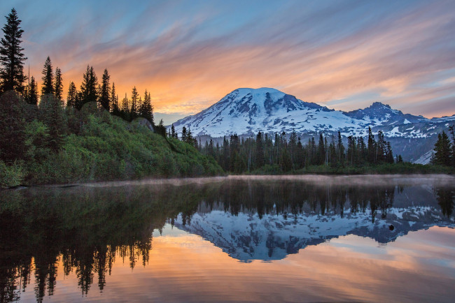 Обои картинки фото природа, реки, озера, река, лес