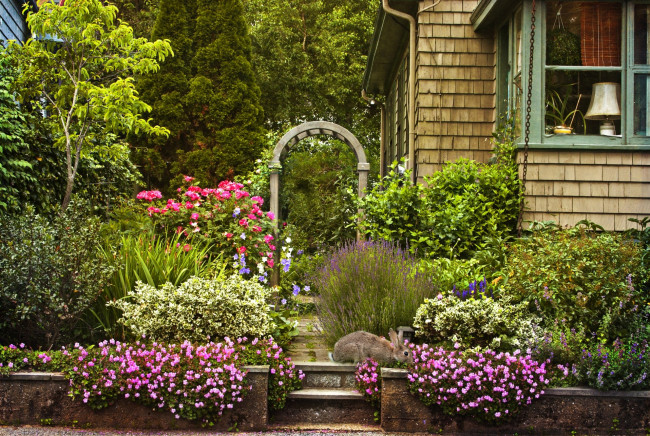 Обои картинки фото цветы, разные вместе, арка, дом, кролик