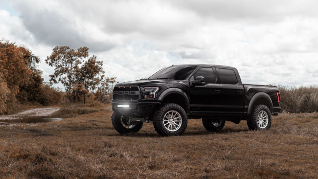 Обои картинки фото автомобили, ford, f-150, raptor