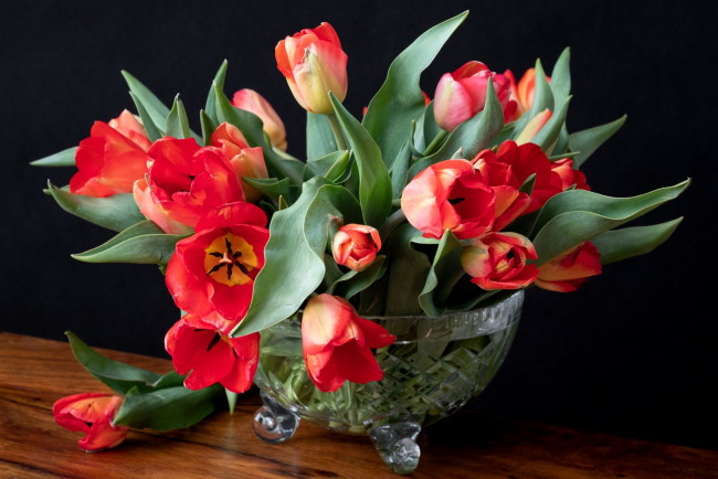 Обои картинки фото цветы, тюльпаны, бутоны, букет