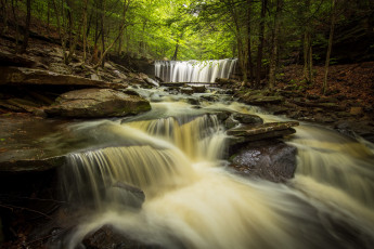 Картинка природа водопады лес река пенсильвания каскад pennsylvania ricketts glen state park парк штата рикетс глен oneida falls онейда