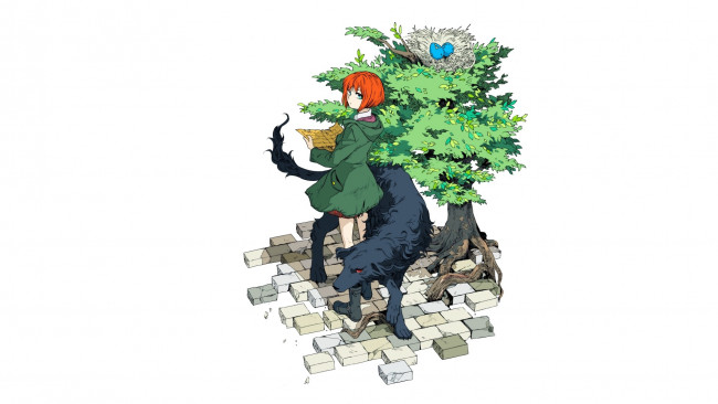 Обои картинки фото аниме, mahou tsukai no yome, невеста, чародея