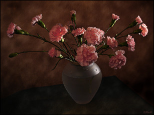 Картинка цветы гвоздики