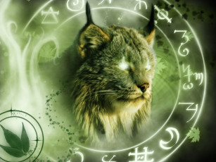 Картинка разное компьютерный дизайн