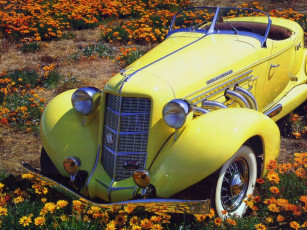 Картинка автомобили классика