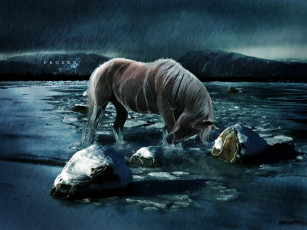 Картинка рисованные животные