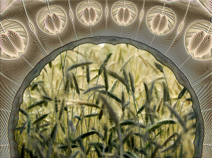 Картинка 3д графика fractal фракталы фпактал