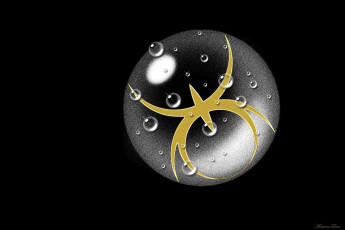 Картинка 3д графика другое круг капли воды