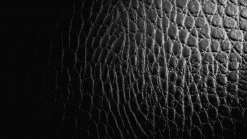 Картинка разное текстуры черный кожа