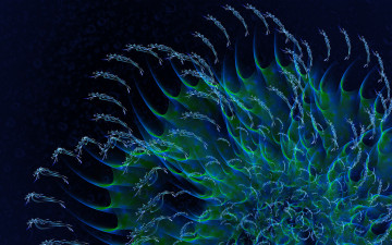 Картинка 3д графика fractal фракталы фрактал