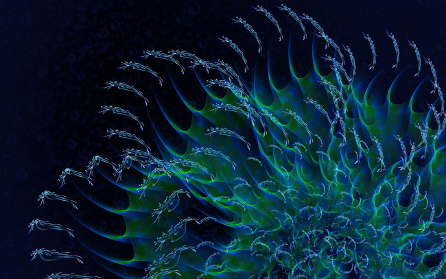 Обои картинки фото 3д, графика, fractal, фракталы, фрактал