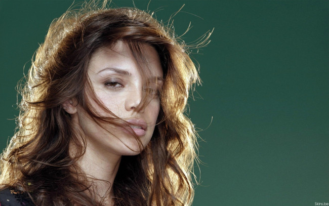 Обои картинки фото Vanessa Ferlito, девушки