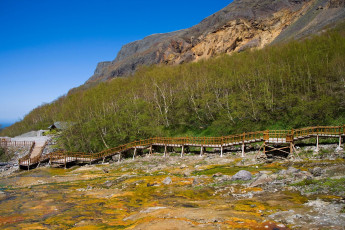 Картинка природа горы деревья