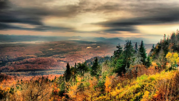 Картинка природа пейзажи тучи склон лес горы