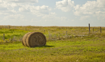 Картинка природа поля сено поле